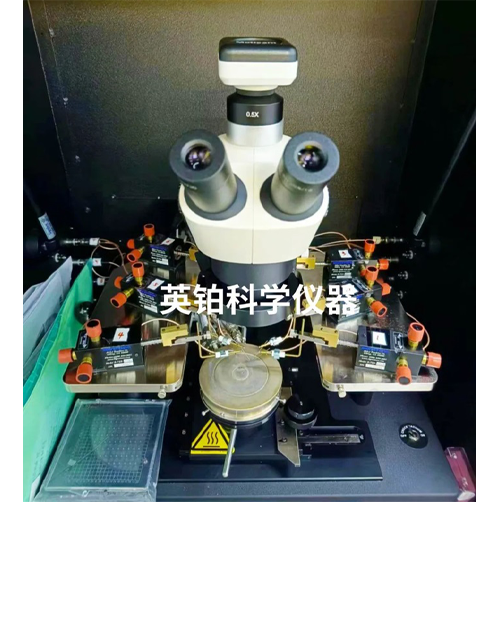 英鉑科學(xué)助力中科院微電子所搭建SiC器件高溫600℃電學(xué)測試