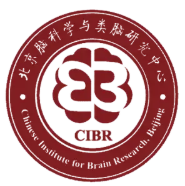 北京腦科學(xué)與類(lèi)腦研究所